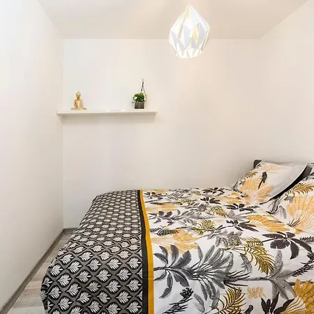 公寓 Plein Centre-ville T3 Refait A Neuf