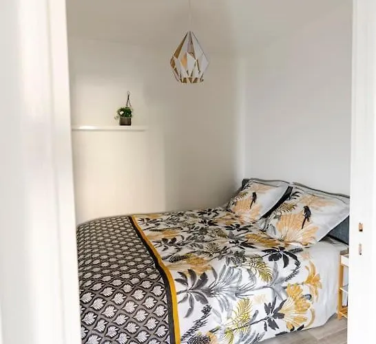 Plein Centre-ville T3 Refait A Neuf 엑스레뱅