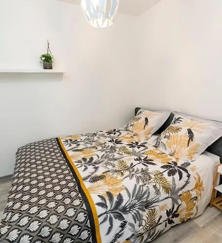 Plein Centre-ville T3 Refait A Neuf *