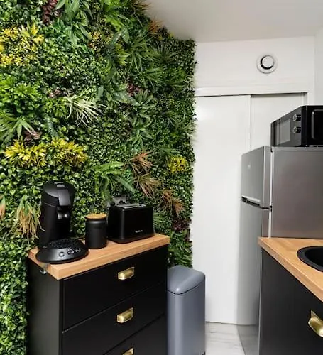 Plein Centre-ville T3 Refait A Neuf *