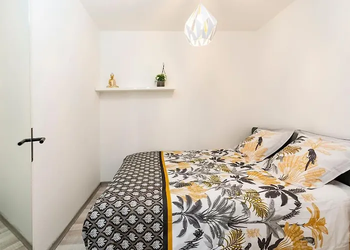 דירה Plein Centre-ville T3 Refait A Neuf