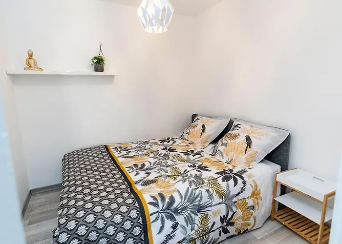 Plein Centre-ville T3 Refait A Neuf