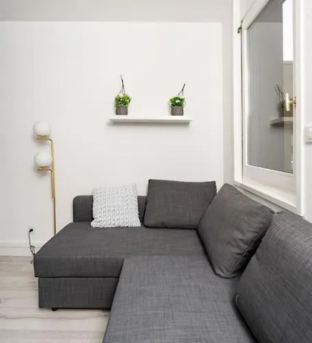 Plein Centre-ville T3 Refait A Neuf *