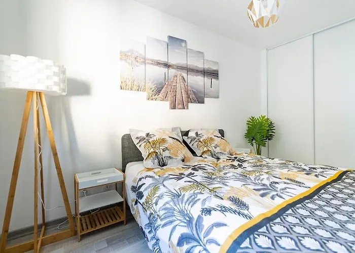 Plein Centre-ville T3 Refait A Neuf 아파트